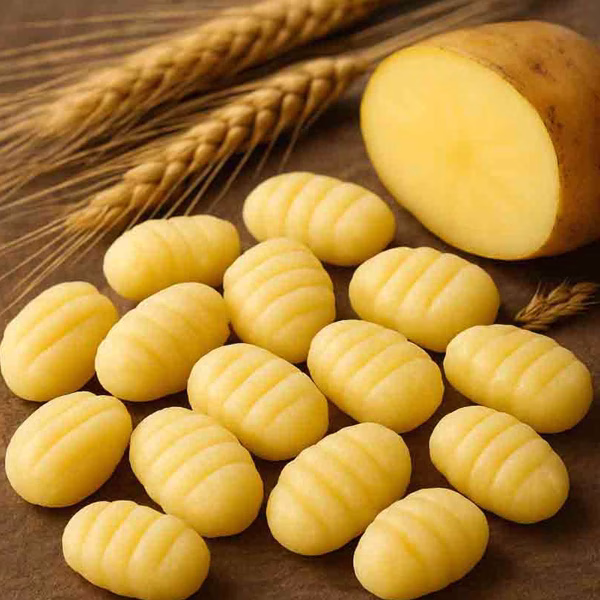 gnocchi-cartofi-paste-proaspete-artizanale-italia-horeca-livita